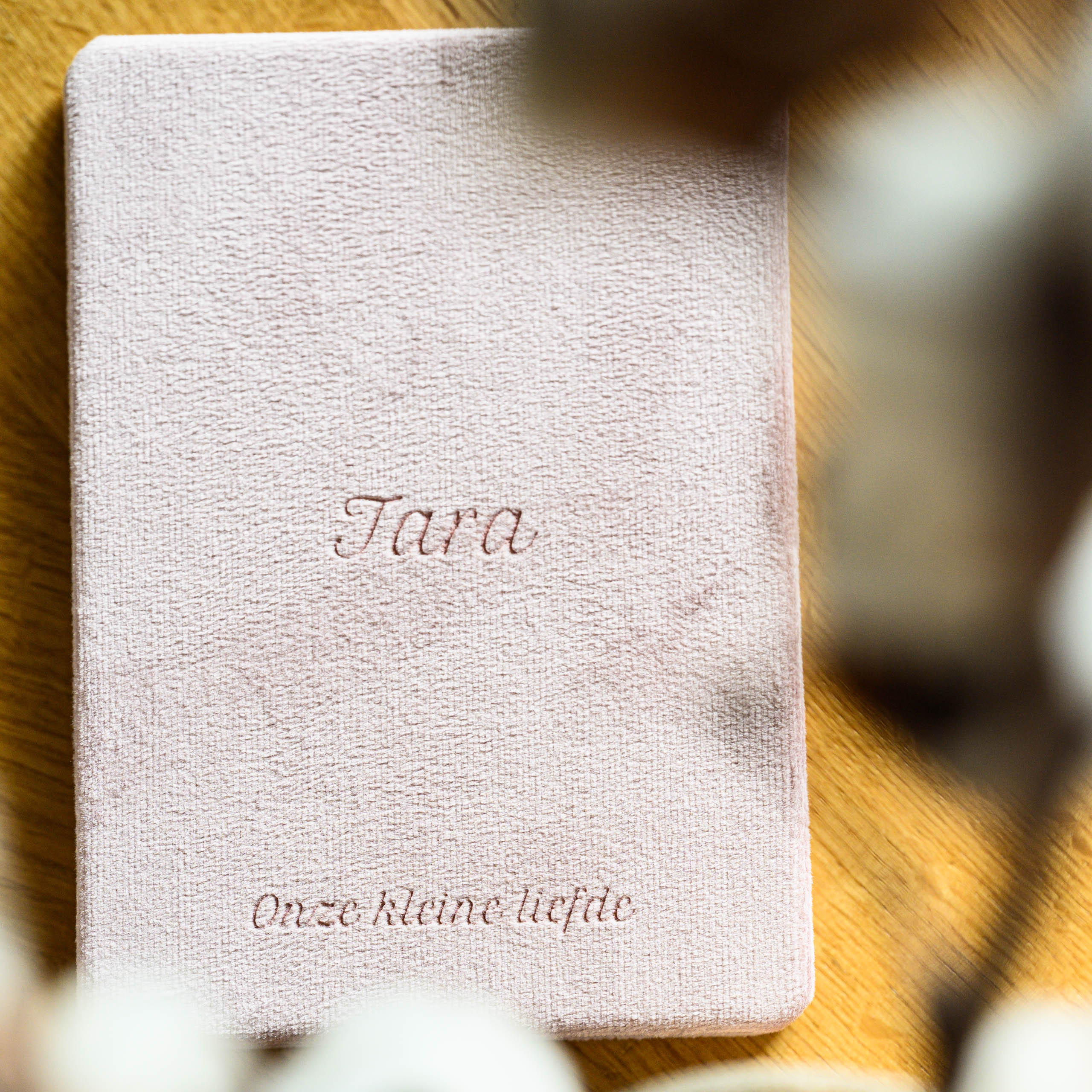 harmonicaboekjes newbornshoot