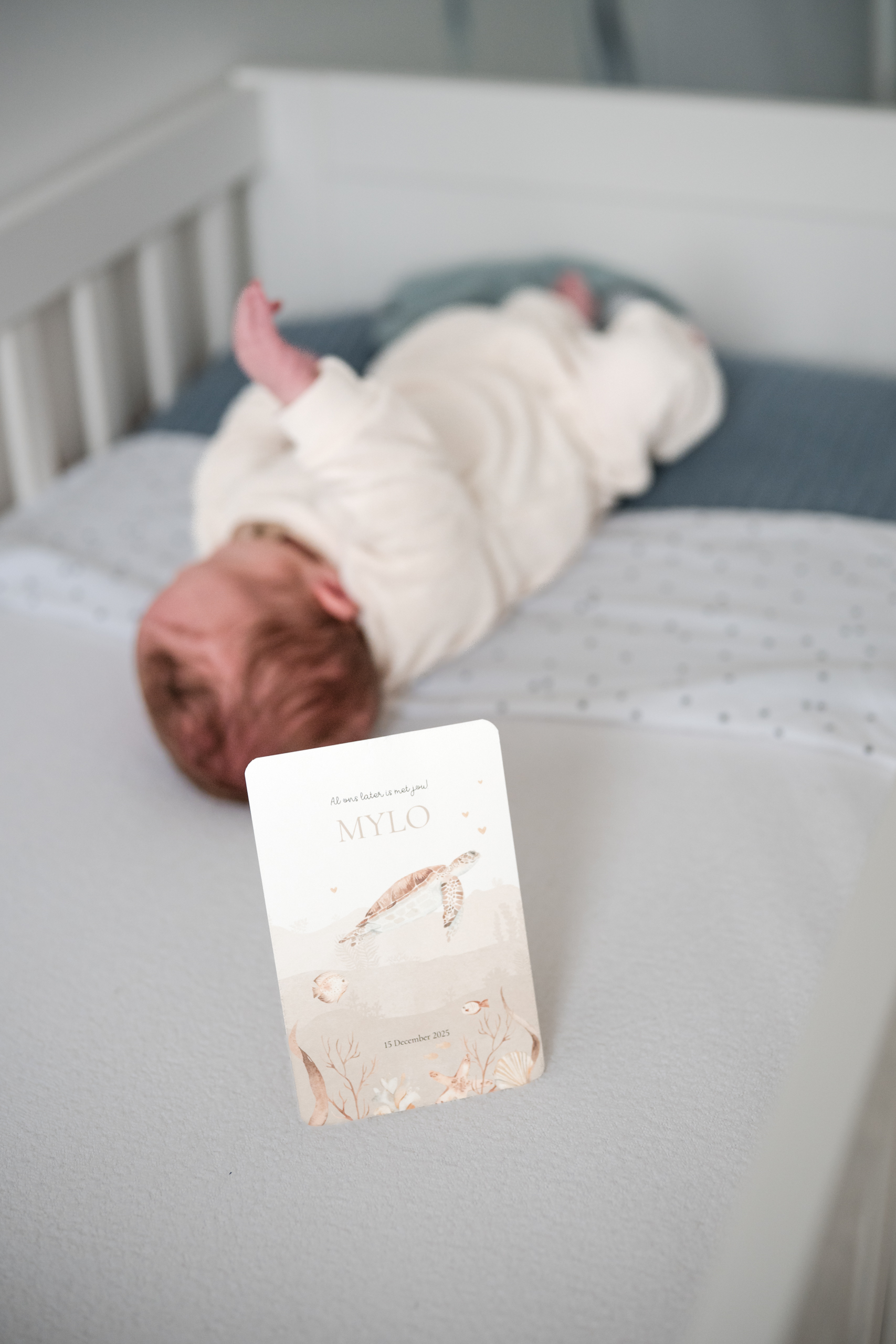 newborn fotoshoot detailshot lifestyle